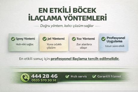 En Etkili Böcek İlaçlama Yöntemleri
