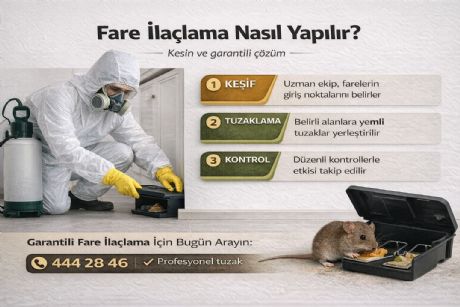 Fare İlaçlama Nasıl Yapılır