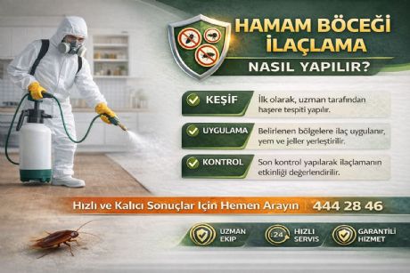 Hamam Böceği İlaçlama Nasıl Yapılır