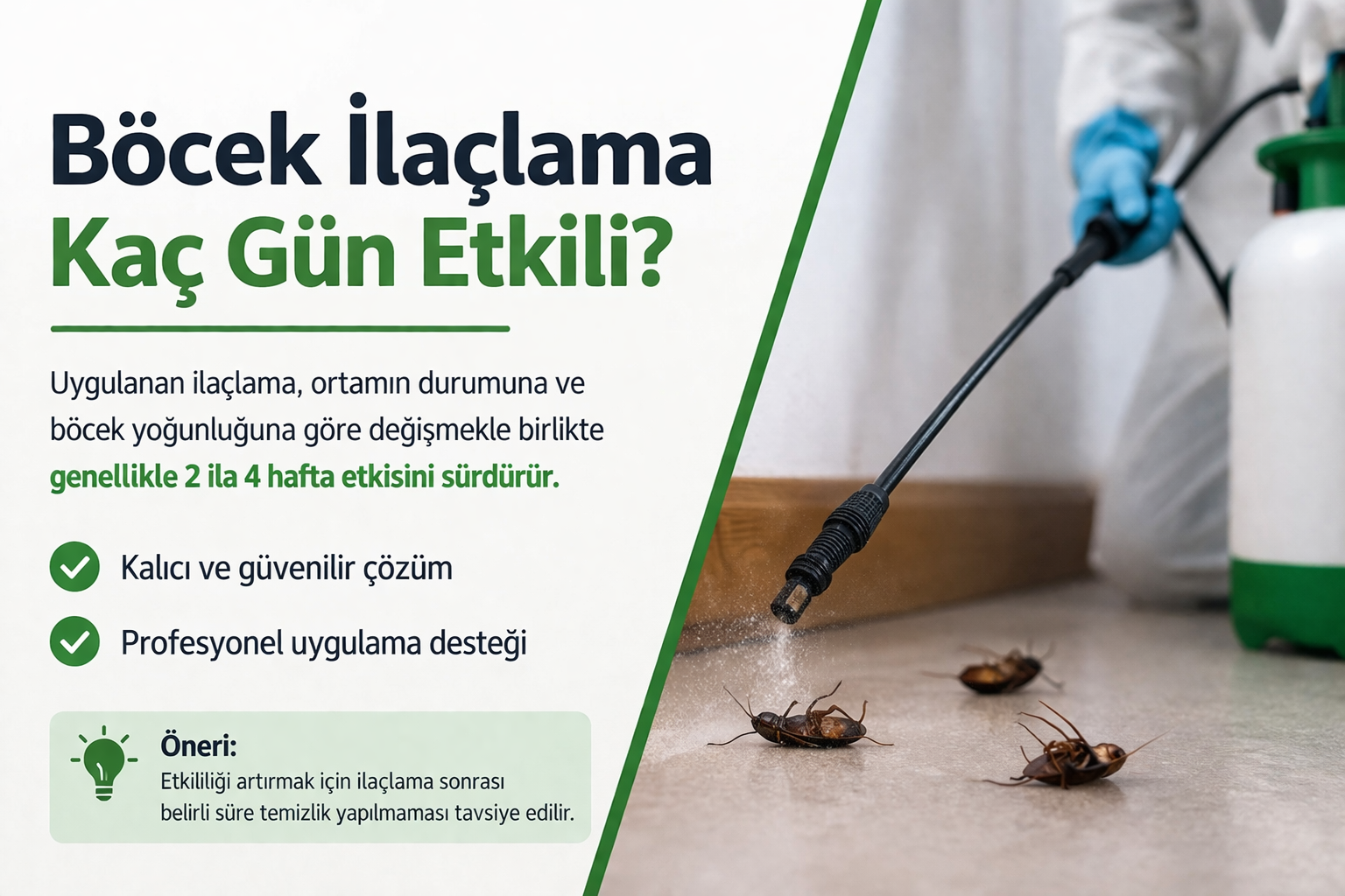 Böcek İlaçlama Kaç Gün Etkili